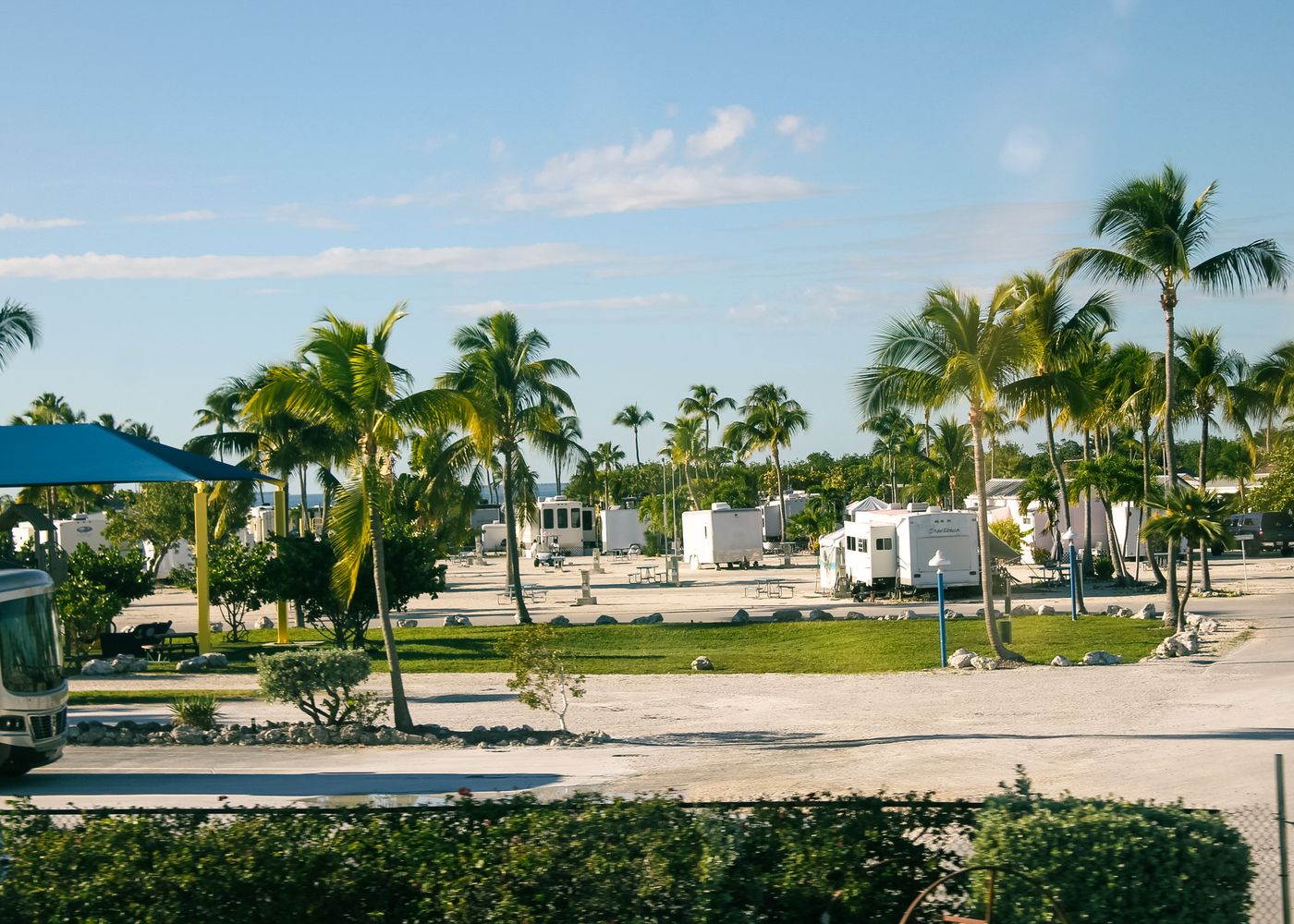 RV park with sites along a treeline at golden hour